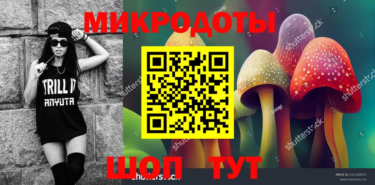 Псилоцибиновые грибы Psilocybine cubensis Коряжма