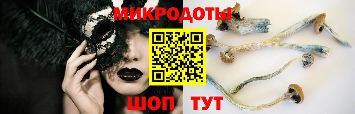 где можно купить   Псилоцибиновые грибы Psilocybe  Вход с VPN  Коряжма 